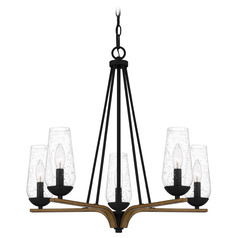 Quoizel Lighting Rochester Matte Black & Aged Walnut Chandelier