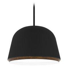 Quoizel Lighting Tamara Matte Black & Slightly Distressed Wood Pendant Light with Bowl / Dome Shade