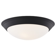 Matte Black Flush Mount Ceiling Light Ceiling 14-Inch Wide