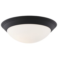 Matte Black Flush Mount Ceiling Light 16-Inch Wide