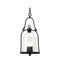 Owings Mill 21.50-Inch High Outdoor Hanging Light in Natural Bronze by Troy Lighting