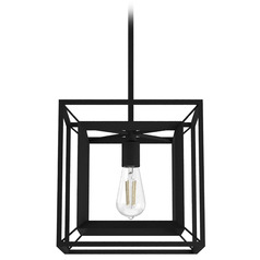 Hunter Fan Company Doherty Natural Black Iron Pendant Light