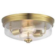 Blakely Brushed Bronze Flush Mount by Progress Lighting