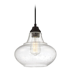 10-Inch Pendant in Oil Rubbed Bronze by Meridian