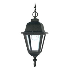 Briton Textured Black Outdoor Hanging Light by Nuvo Lighting