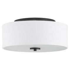 Inspire Graphite Flush Mount by Progress Lighting