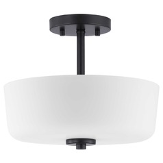 Tobin Black Semi-Flush Mount by Progress Lighting