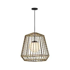 Arlen Large Outdoor Hanging Light in Black by Hinkley Lighting