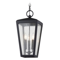 Mariden Textured Black Outdoor Hanging Light by Troy Lighting