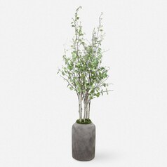 Aldis Potted River Birch by Uttermost Lighting