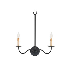 Saxon 2-Light Wall Sconce in Zanzibar Black by Currey & Company
