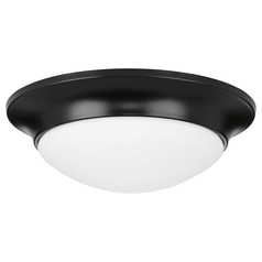 Etched Glass Flush Mount Black Flush Mount by Progress Lighting