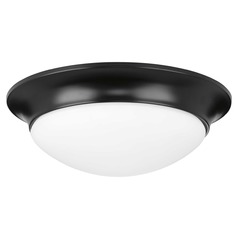 Etched Glass Flush Mount Black 2-Light Flush Mount by Progress Lighting
