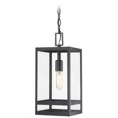Nuri Black Outdoor Hanging Light by Z-Lite