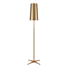 Elk Lighting Matthias Aged Brass Floor Lamp with Conical Shade