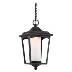 Essex Sterling Black LED Outdoor Hanging Light by Nuvo Lighting