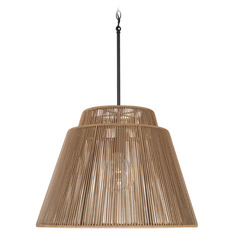 Jasper Indoor/Outdoor Hanging Light in Black by Capital Lighting