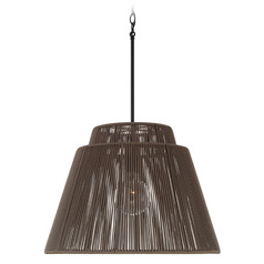 Jasper Indoor/Outdoor Hanging Light in Black by Capital Lighting