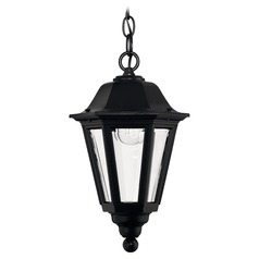 Outdoor Hanging Light with Clear Glass in Black by Hinkley Lighting