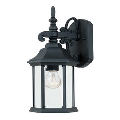 Outdoor Wall Light with Clear Glass in Black Finish