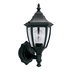 Outdoor Wall Light with Clear Glass in Black Finish