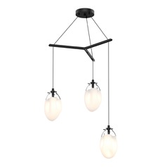 Liquid LED Multi-Light Pendant Black by Sonneman Lighting