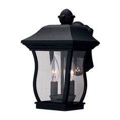 Outdoor Wall Light with Clear Glass in Black Finish
