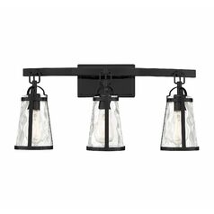 Albany 24-Inch Vanity Light in Black by Savoy House