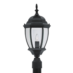 Post Light with Clear Glass in Black Finish