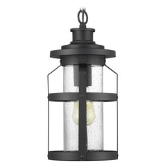 Haslett Black Outdoor Hanging Light by Progress Lighting