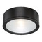 WAC Lighting Tube Black LED Flush Mount by WAC Lighting FM-W2612-BK