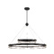 Metropolitan Lighting Grand Illusion 49-Inch LED Pendant in Coal & Nickel by Metropolitan N7997-572-L