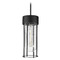 Maxim Lighting Millennial Black Outdoor Hanging Light by Maxim Lighting 30587CDBK