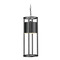 Z-Lite Luca Black LED Outdoor Hanging Light by Z-Lite 517CHB-BK-LED