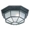Capital Lighting 11.25-Inch Outdoor Flush Mount in Black by Capital Lighting 9800BK