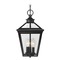 Savoy House Ellijay Black Outdoor Hanging Light by Savoy House 5-146-BK
