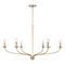 Capital Lighting Dolan Chandelier in Matte Brass by HomePlace by Capital Lighting 449961MA
