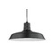 Recesso Lighting by Dolan Designs Recesso 16-Inch Black Pendant Barn Light with Cord BL-PEND16-BLK