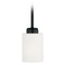 HomePlace by Capital Lighting Dixon 5-Inch Mini Pendant in Black by HomePlace by Capital Lighting 315211MB-338