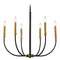Z-Lite Haylie Matte Black & Olde Brass Chandelier by Z-Lite 479-6MB-OBR