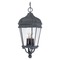 Minka Lavery Outdoor Hanging Light with Clear Glass in Black by Minka Lavery 8694-66