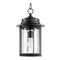 Quorum Lighting Charter Noir Outdoor Hanging Light by Quorum Lighting 7247-9-69