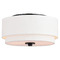 Vaxcel Lighting Vaxcel Lighting Burnaby Black Flushmount Light C0279