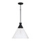 Capital Lighting Paloma 15-Inch Pendant in Textured Black by Capital Lighting 350311XK