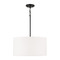 HomePlace by Capital Lighting Alan 18-Inch Pendant in Matte Black by HomePlace by Capital Lighting 314632MB-659