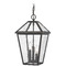 Z-Lite Talbot Oil Rubbed Bronze Outdoor Hanging Light by Z-Lite 579CHB-ORB