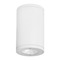 WAC Lighting 8-Inch White LED Tube Architectural Flush Mount 2700K 2860LM by WAC Lighting DS-CD08-S927-WT