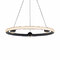 ET2 Lighting Nodes 5CCT LED 24-Inch Pendant in Black by ET2 Lighting E23512-BK