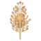 Currey and Company Lighting Currey and Company Maypan Natural Coco Shell & Coco Cream Sconce 5900-0057