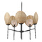 Maxim Lighting Maldives Black Chandelier by Maxim Lighting 12605NABK